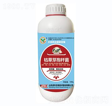 �ݲ�ѿ�ߗU��-��(zh��n)܇