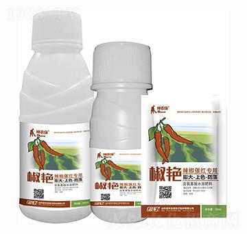 ���G�������߼t����-��(zh��n)܇(ch��)