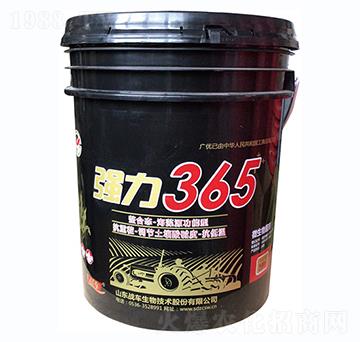 ��(qi��ng)��365-��(zh��n)܇