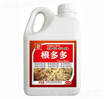 �����-��(zh��n)܇