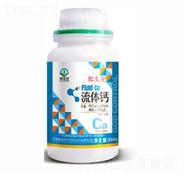 ���w�}-������-���ƿ�