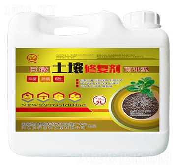 ��΢�����ޏ�(f��)��-��������