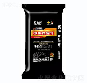 ΢�������-���ż{-����ʘI(y��)