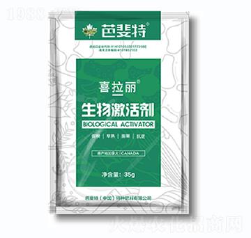 ���Ｄ�-ϲ����-�����