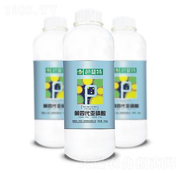 ������-�����