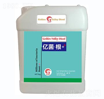 �|������-��ȶ�