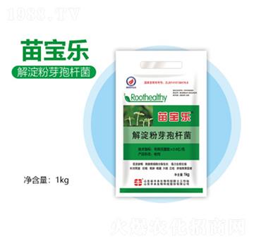 �����ѿ�ߗU��-�猚��(l��)