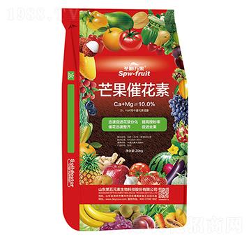 â���߻���-ʥ���f(w��n)��-����Ԫ��