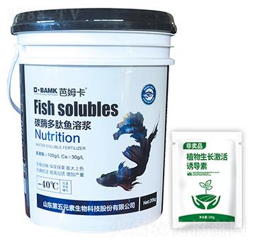 ̼ø�����~�ܝ{-��ķ��-����Ԫ��