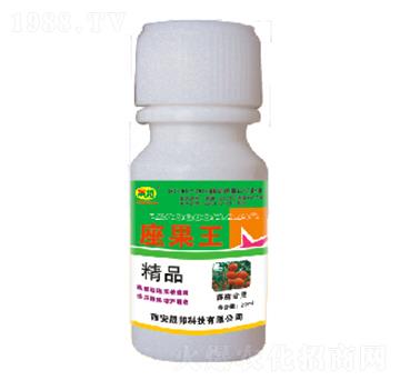 ���ь���-������-�ɰ�����