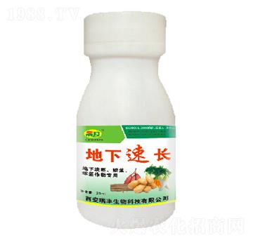 �������L-�ɰ�����