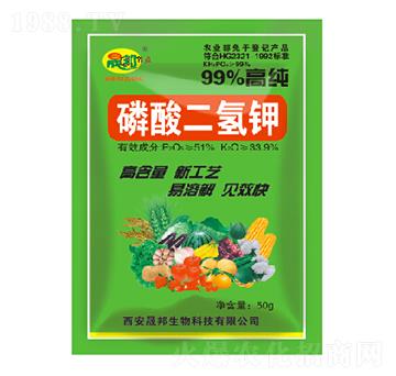 ��������-�ɰ�����