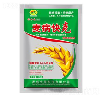 �������-�ɰ�����