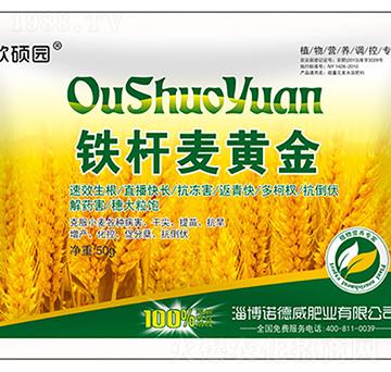 �F�U���S��-�Z����