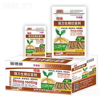 ���Ꮚ���������焩����