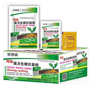 ���Ꮚ���������焩+ֲ