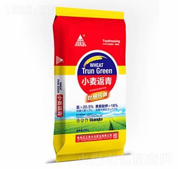 40kgС������-�t���Ǵ�