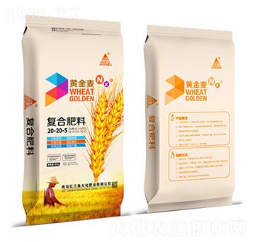 ��(f��)�Ϸ���20-20-5-�S����-�t���Ǵ�