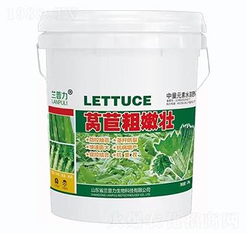 �n�S���ۉ�-�m����