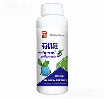 �ЙC��-ʢ���߿�