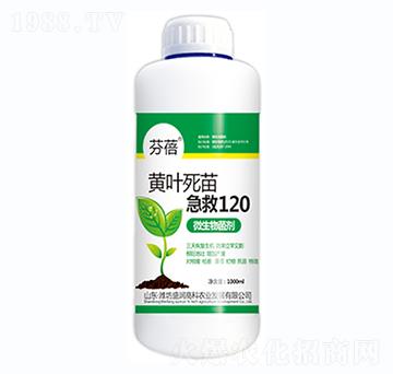 �S�~���缱��120-����-ʢ���߿�