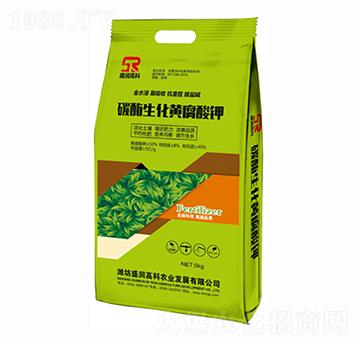 ̼ø�����S�����-ʢ���߿�