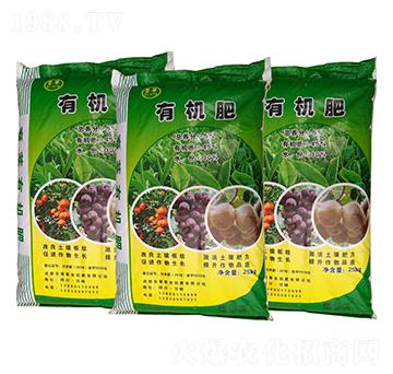 �ЙC��-��ݷ