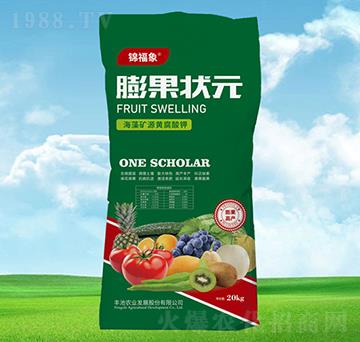 ����VԴ�S�����-�����Ԫ-�S���r�I(y��)