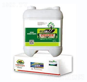 �����B(y��ng)����-����-�|�Ҙ�