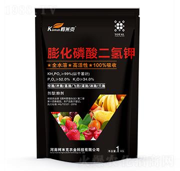 �߼�������������-���׿�