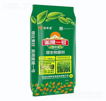 ����һ̖-�~�S��-������