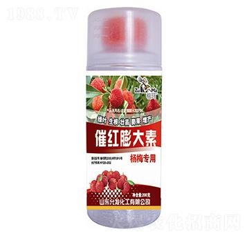 �߼t�����-�欔-�ʰl(f��)����