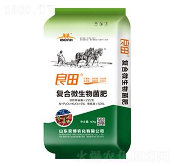 �ͺ�΢�������-����-