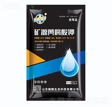 �VԴ�S�����-�H�i���B(t��i)