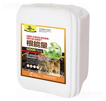 ������-�欔-�ʰl(f��)����