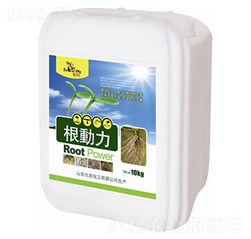 ������-�欔-�ʰl(f��)����