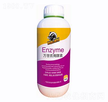 �f(w��n)���r(n��ng)�ý���-�f(w��n)���r(n��ng)�I(y��)