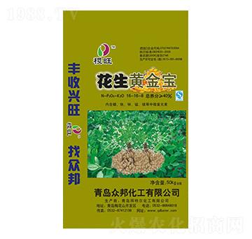 ��������S����16-1