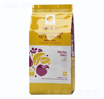 �ͺϷ���12-5-26+TE-С����ɫ-С��