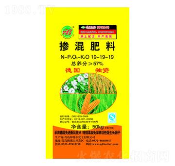 �������19-19-1