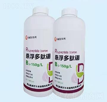 �Ҹ�������-�����f�S