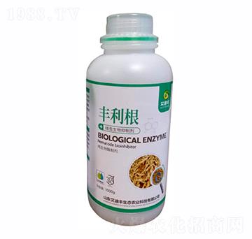 ���x�������Ƅ�-�S����-�����S