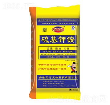 �����@-��Ӱٝ�(r��n)