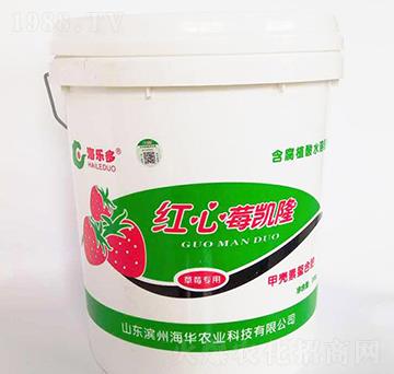 �t��ݮ�P�����_ʩ�ͣ�-���A�r(n��ng)�I(y��)