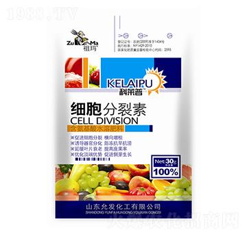 ���b��(x��)��������-�欔-�ʰl(f��)����