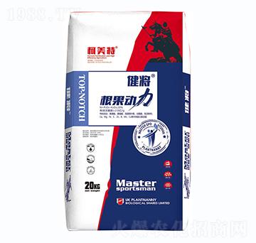 ��������������-������