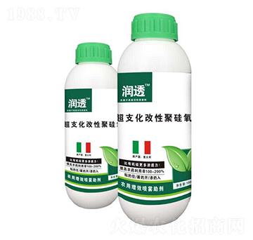 ��֧���ľ۹���-��(r��n)͸-�R�Ǻτ�(chu��ng)