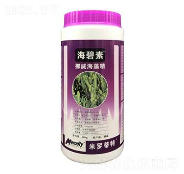 Ų�����徫-������-�R�Ǻτ�(chu��ng)