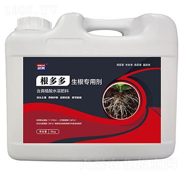 ������������Ä�-���R