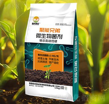 ΢�������-�����ֵ�-ꖹ�ڳ�